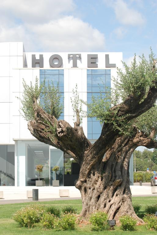 Hotel Duomo Benifaio Экстерьер фото